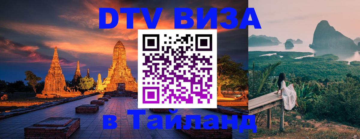 Оформление DTV визы под ключ: стоимость и тарифы, только загранпаспорт - 